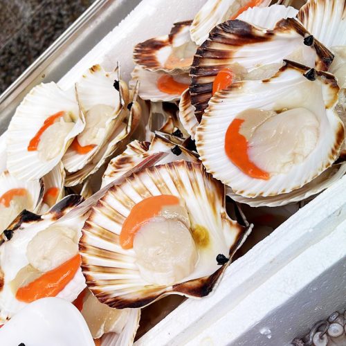 capesante Pescheria gandola