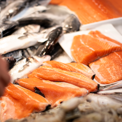 trota salmonata pescheria gandola
